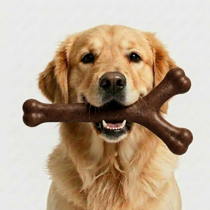 Wishbone Chew Toy